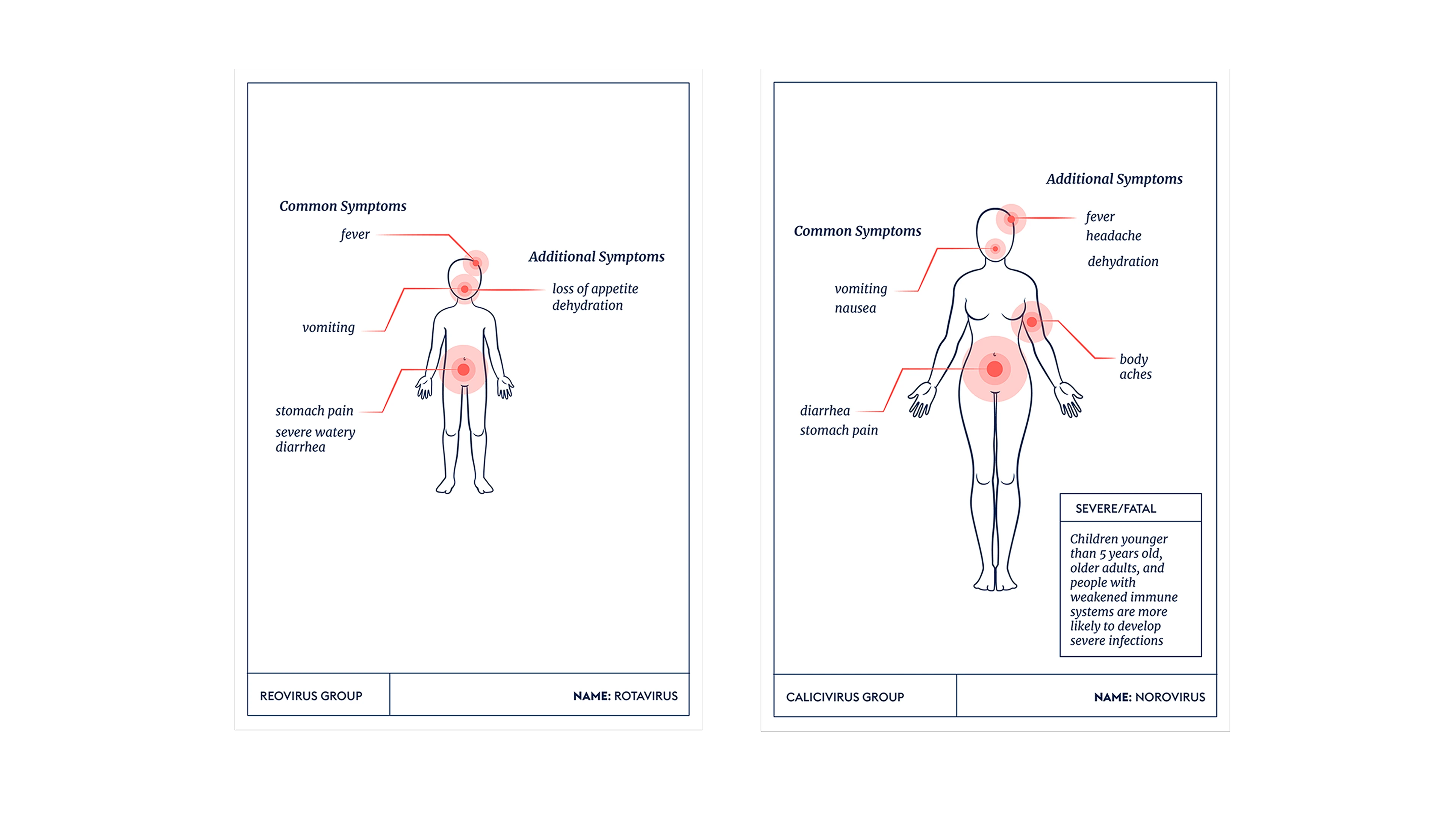 anatomic illustrations showing symptoms of two viruses